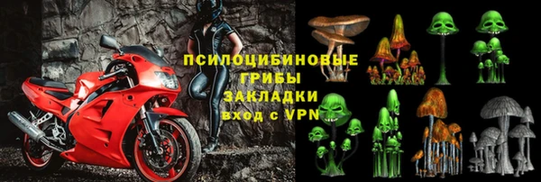 стафф Абинск