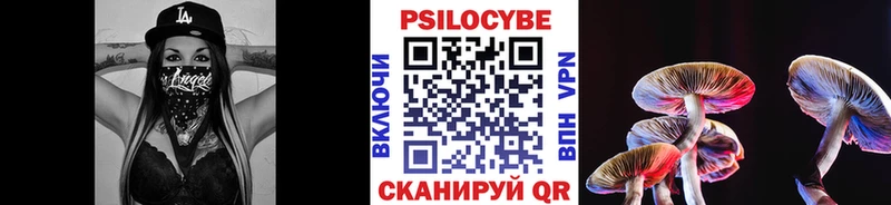 ссылка на мегу ссылка  Тимашёвск  Галлюциногенные грибы Psilocybe 